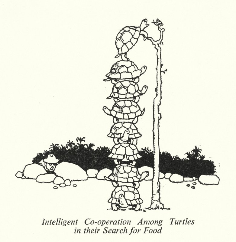 Coopération Intelligente Parmi les Tortues dans leur Recherche de Nourriture - William Heath Robinson