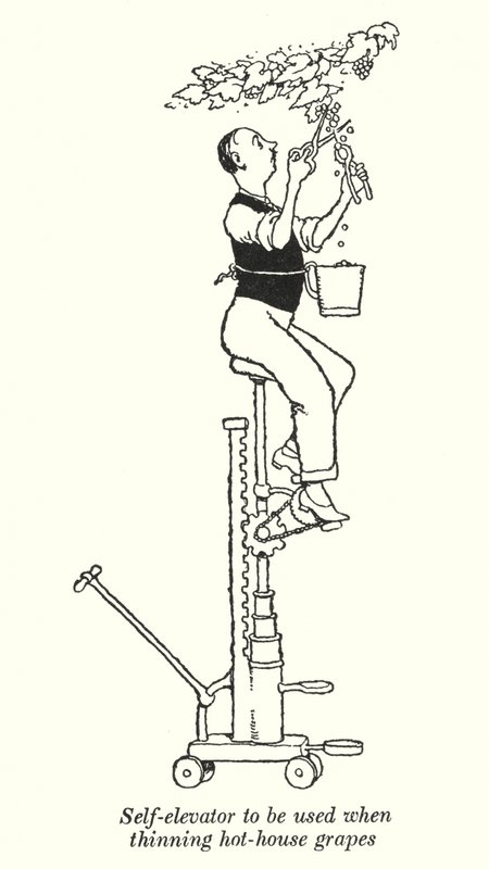 Élévateur automatique à utiliser pour éclaircir les raisins de serre - William Heath Robinson