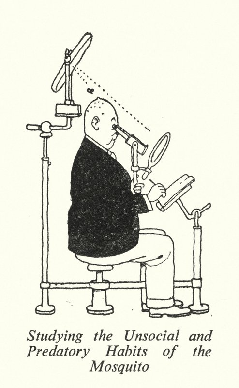 Étudier les habitudes antisociales et prédatrices du moustique - William Heath Robinson