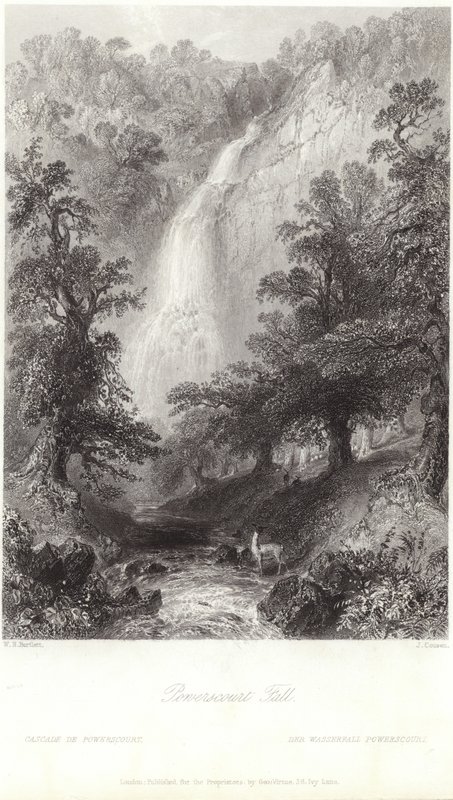 Chute de Powerscourt sur la rivière Dargle - William Henry Bartlett