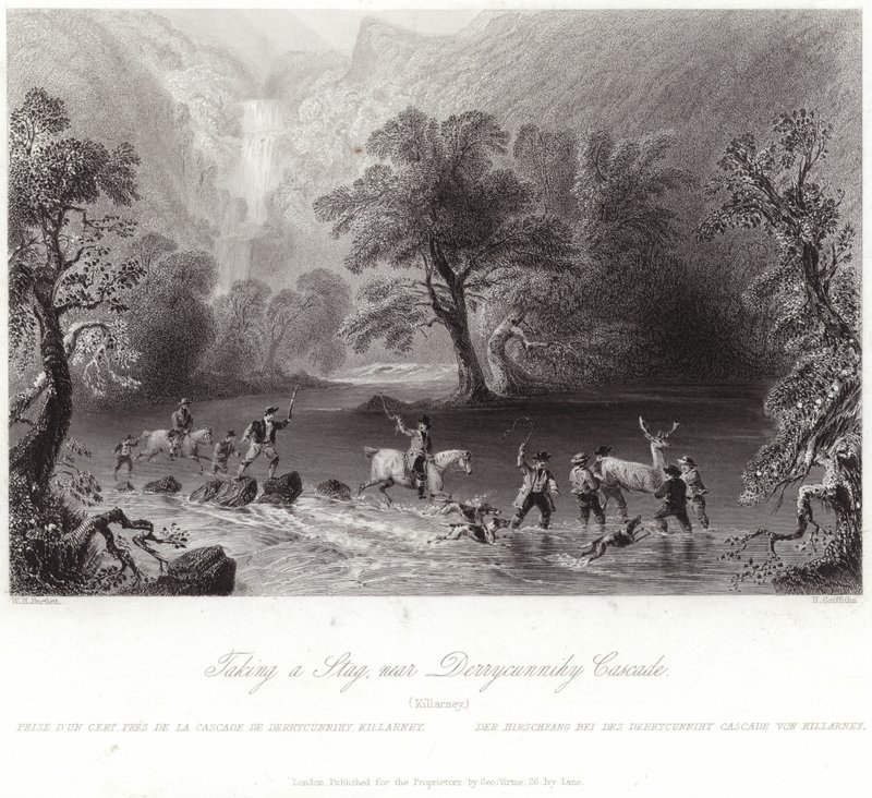 Chasse au cerf près de Derrycunnihy - William Henry Bartlett