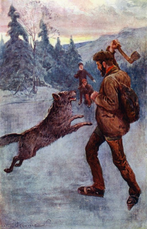 "Il a tiré ; et la brute, au moment où elle faisait son bond, est tombée, grognant et sifflant" (lithographie en couleur) - William Henry Charles Groome