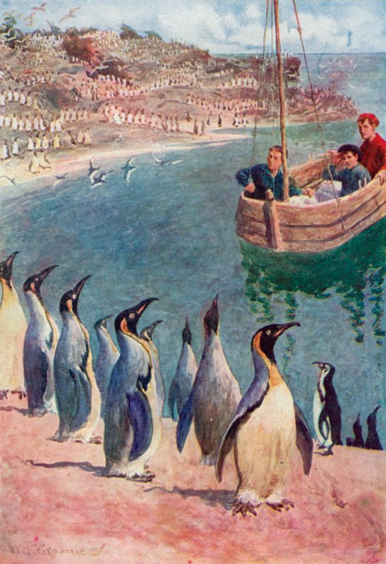 Nous regardions les oiseaux avec surprise et plaisir, eux nous regardant avec intérêt - William Henry Charles Groome