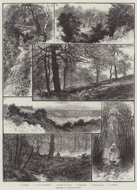 Croquis dans les bois de Highgate - William Henry James Boot