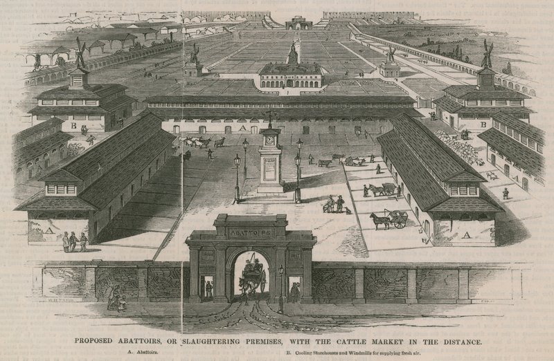 Abattoirs proposés, ou locaux d
