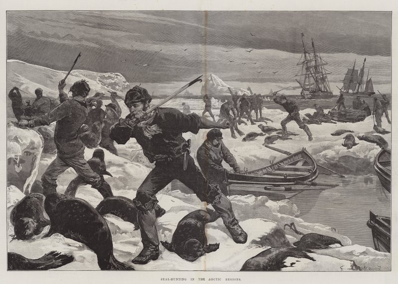 Chasse au phoque dans les régions arctiques - William Heysham Overend