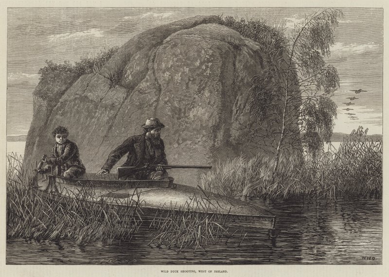 Chasse au canard sauvage, ouest de l