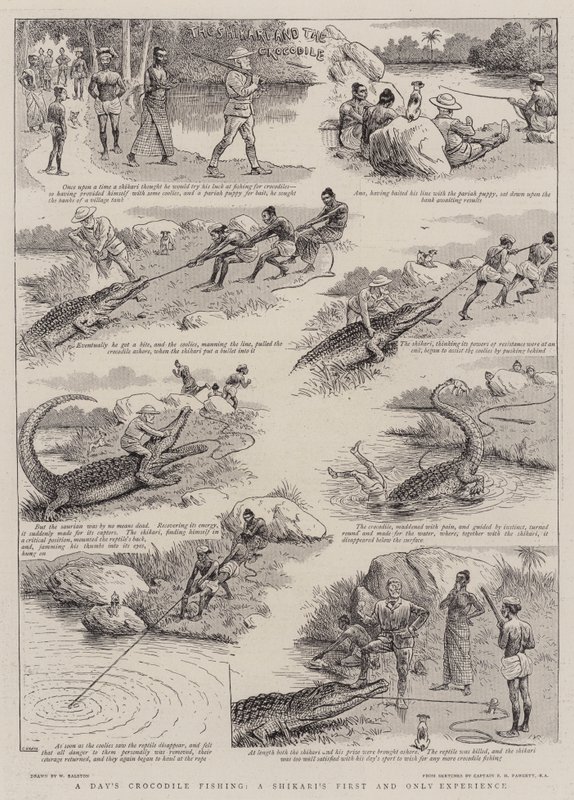 Une journée de pêche au crocodile, la première et unique expérience d
