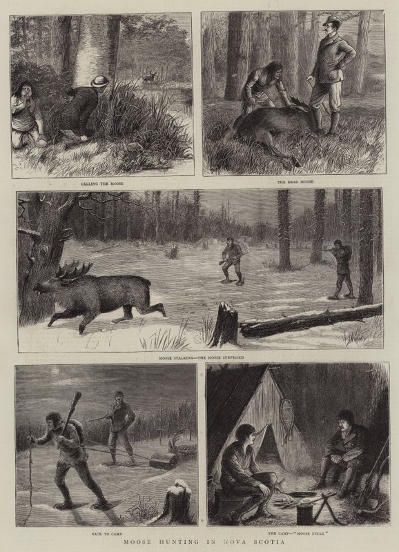 Chasse à l