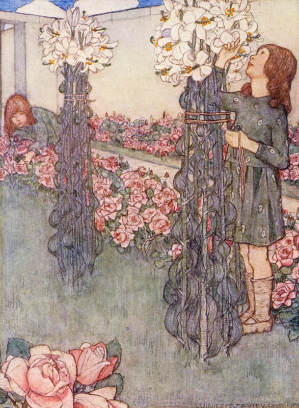 Livre de jardinage pour enfants : Lys et roses - Winifred Cayley Robinson