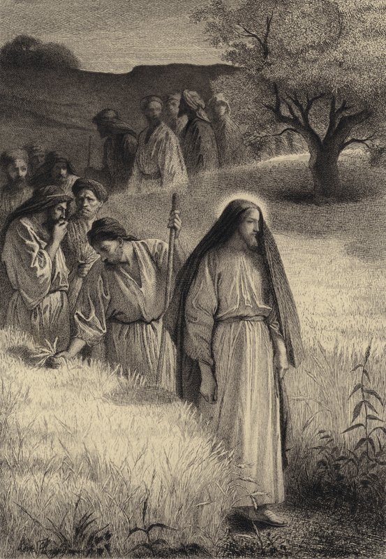 Jésus et ses disciples dans le champ de blé - after Albert Robida