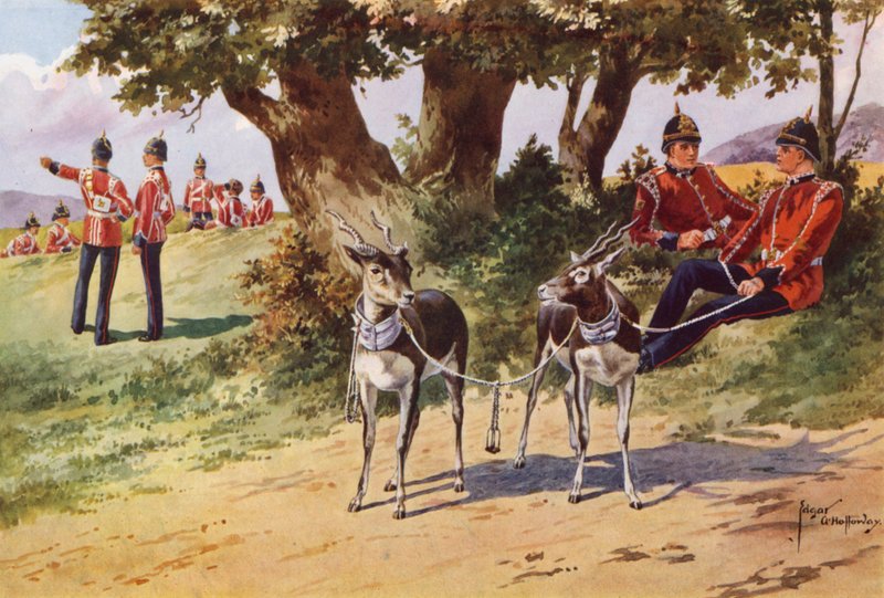 Les antilopes de compagnie du Royal Warwickshire Regiment - after Edgar Alfred Holloway