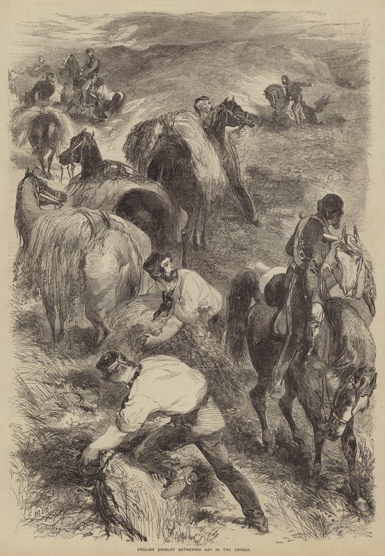 Cavalerie anglaise récoltant du foin en Crimée - after Edmond Morin
