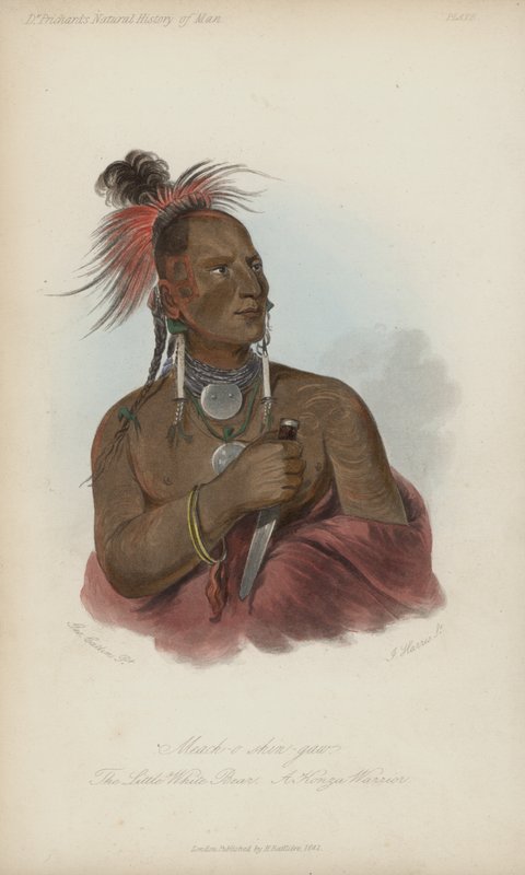 Meach-o shin-gaw, Le Petit Ours Blanc, Un Guerrier Konza - after George Catlin