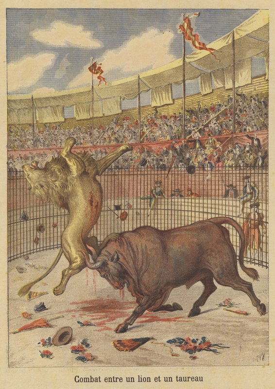 Combat entre un lion et un taureau - after Henri Meyer