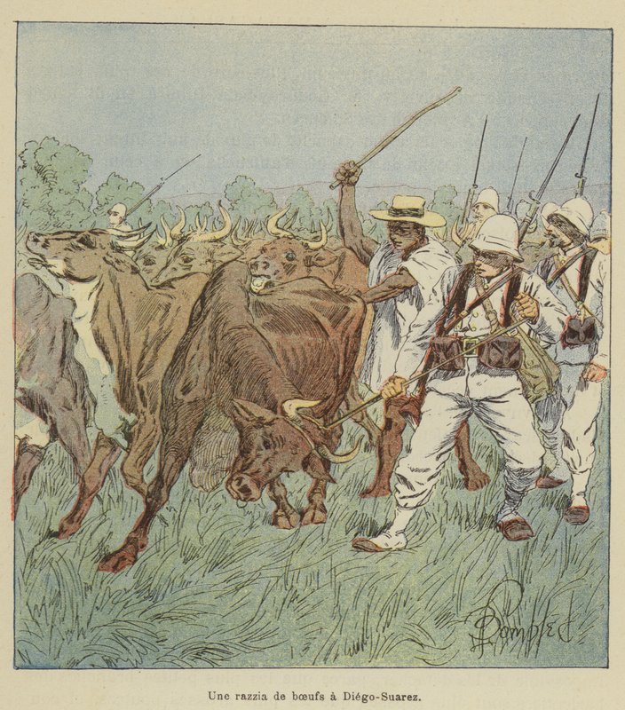 Une razzia de bœufs à Diego-Suarez - after Louis Charles Bombled