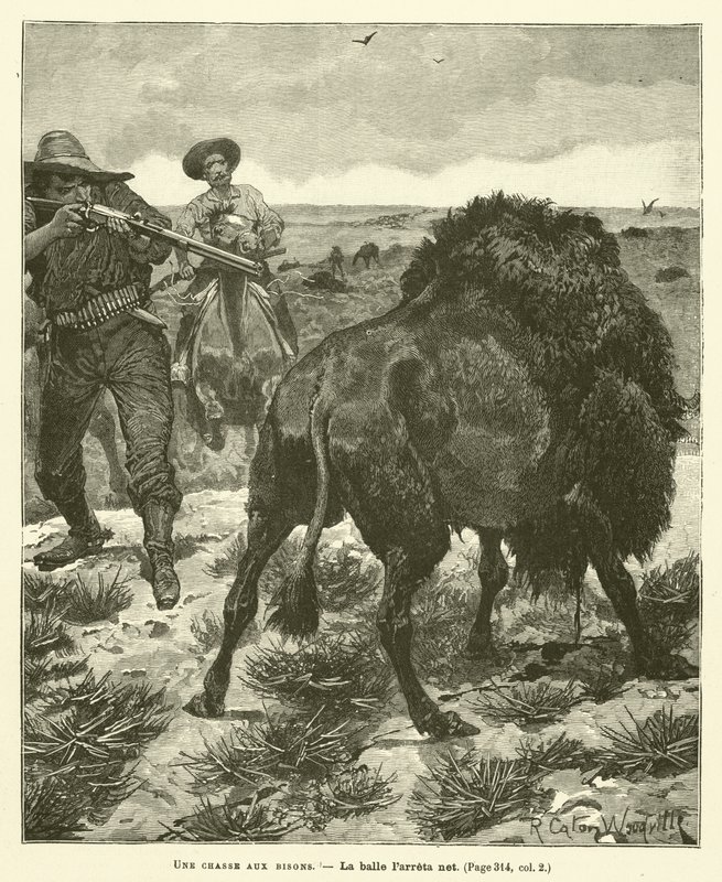 Une chasse aux bisons - after Richard Caton II Woodville