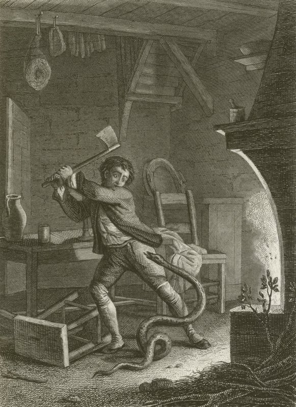 Le Villageois et Le Serpent - after Tony Johannot