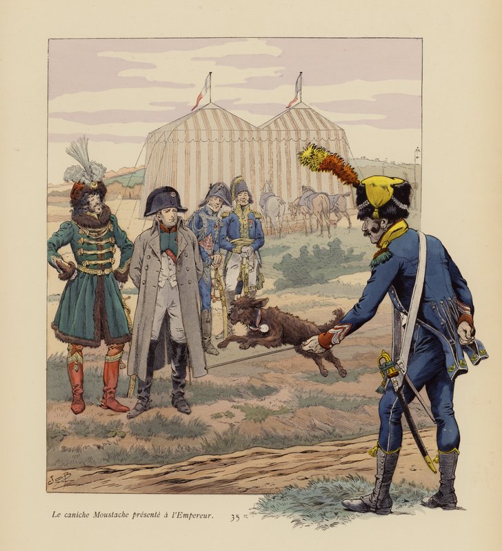 Le chien Moustache présenté à Napoléon (lithographie en couleur) - pseudonym for Onfray de Breville Jacques Job