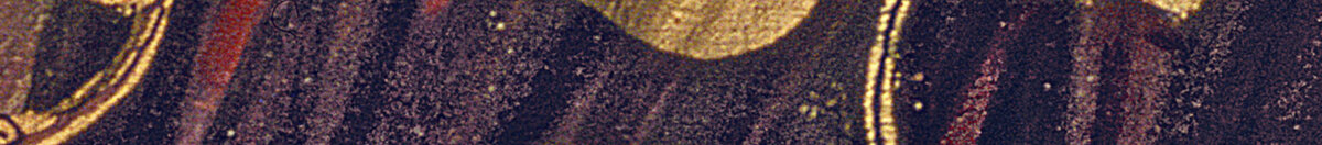 Danaé (Gustav Klimt), Detail: Goldene Kreisornamente am Tuch