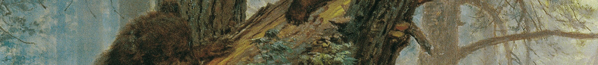 Matin dans une forêt de pins (Ivan Ivanovich Shishkin), Detail: Bärenjunge auf gestürzter Kiefer