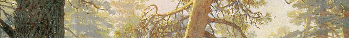 Matin dans une forêt de pins (Ivan Ivanovich Shishkin), Detail: Morgenlicht im Kronendach