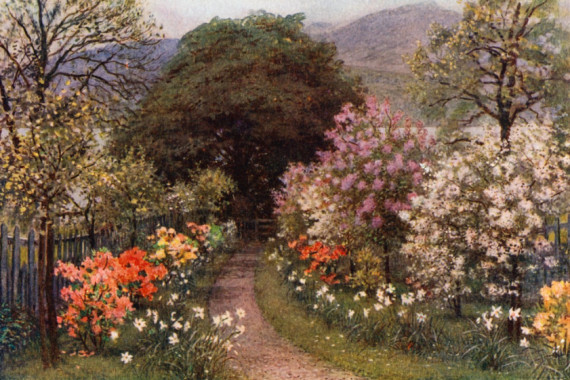 Arthur Severn