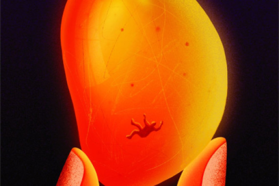 Carlo Alberto Giardina