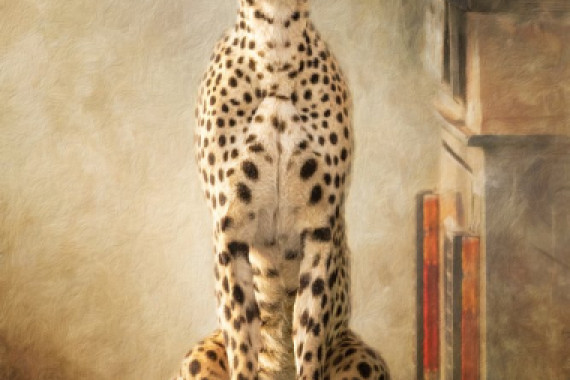 Debbie Lefever