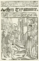 Sir Tryamoure