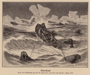 Chasse au morse (gravure)