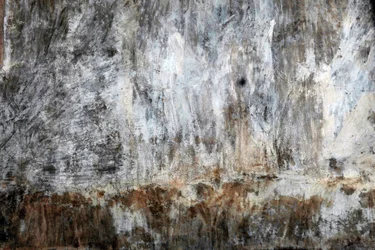 Paysage