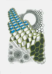 Hexagone