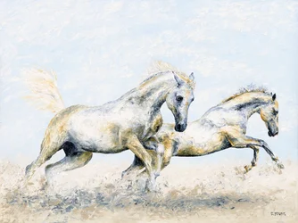 Chevaliers d
