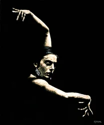 Bras Flamenco