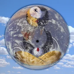 Corps céleste (de la série : Prince sans oiseau)