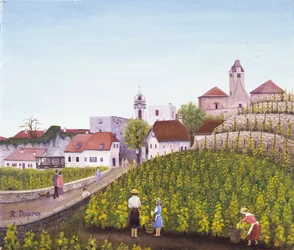 Vendanges à Dürnstein
