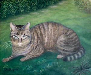 La chatte Julia