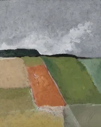 Forêts dans les collines
