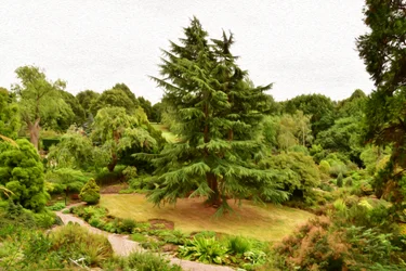 Paysage naturel dans le style de la peinture à l
