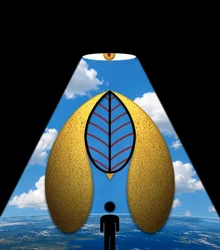 La merveille bleue (de la série Clairière)