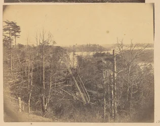 [Paysage avec des arbres et de l