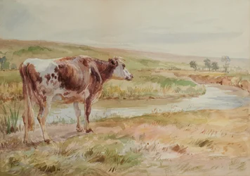 Paysage avec rivière et vache