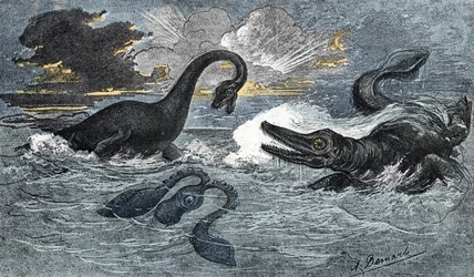 Plésiosaure et ichtyosaure du Jurassique inférieur