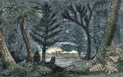 Préhistoire : paysage caractéristique avec marais et forêt