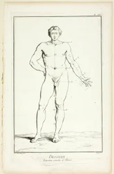Dessin : Proportions générales de l