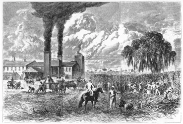 Plantation de sucre, La Nouvelle-Orléans, 1870