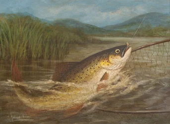 Le filet du pêcheur à la mouche