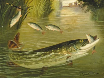 Les Quatre qui se sont Échappés!