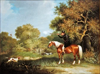 Chasse au faisan